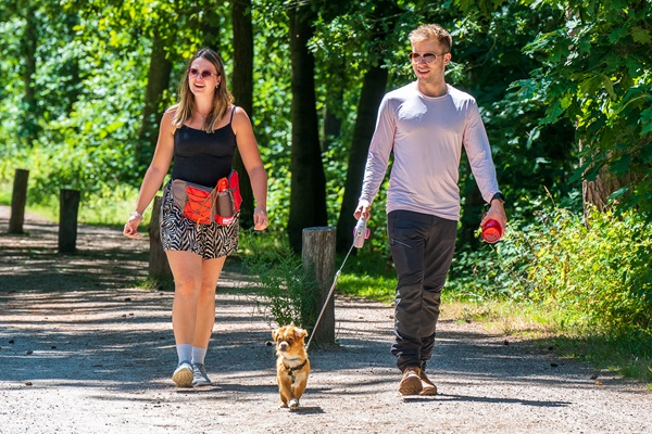 Ehepaar geht mit Hund durch das Natur- und Erholungsgebiet De IJzeren Man